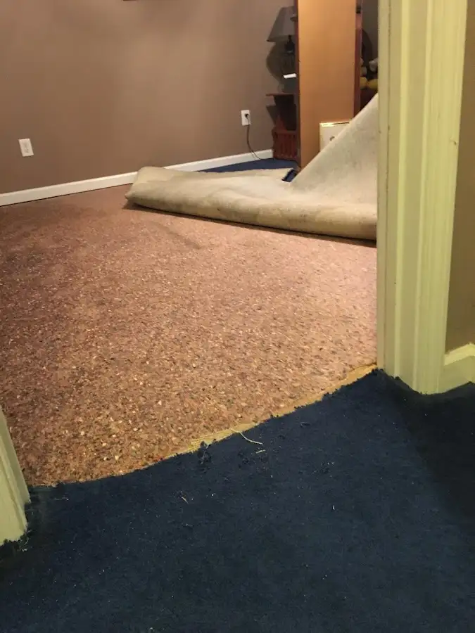 Carpet pad removal revealing water damage during Water Mitigation Services in Macomb